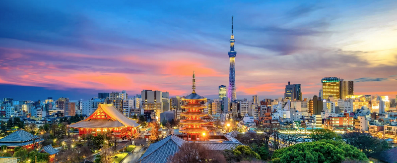 Japan Visa Services